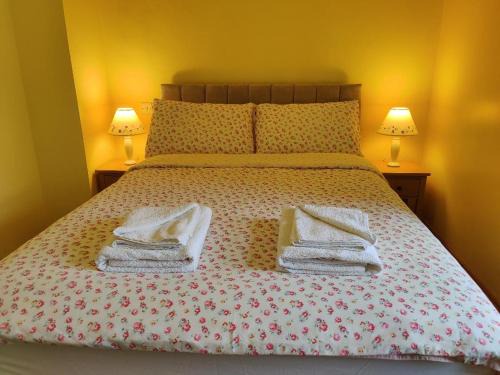 Llandderfel House | Bryn Cottage