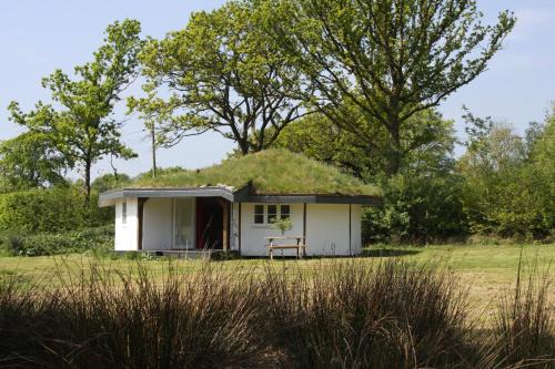 Chard Other | Buzzard's Nest Glamping Oak