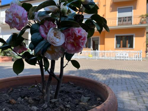 Tremezzina House | Cà del Fili