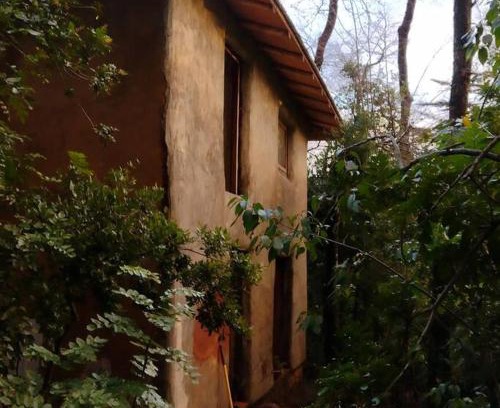 Pinto Apartment | Cabaña rustica en los Lleuques