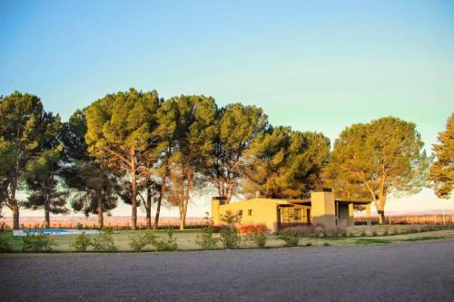Cuyo Cabin | Cabañas Entre Hileras