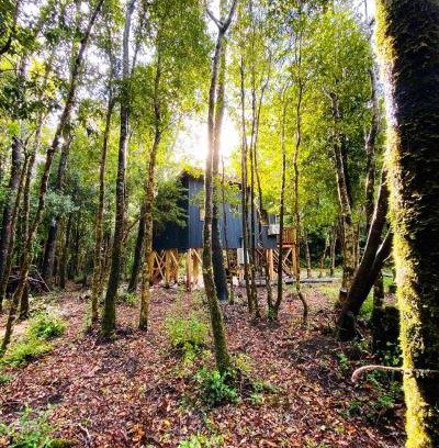 Conaripe House | Cabañas Los Glaciares
