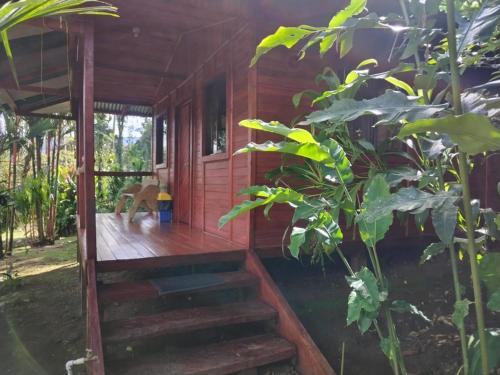 Katira Hotel | Cabañas Los Laguitos Rio Celeste