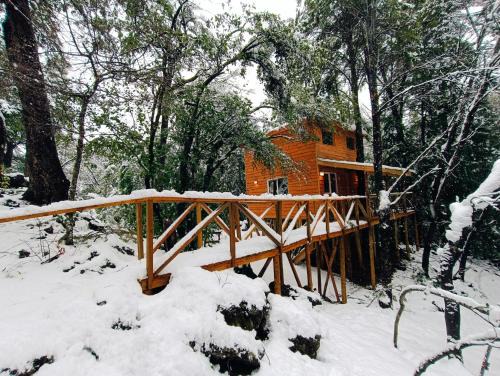 Pinto Ski Chalet | Cabañita Del Árbol Concón