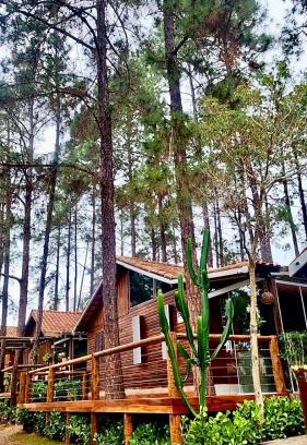 Itu Ski Chalet | Cabana em Itu-SP Chalé Veraneio Camping Carrion