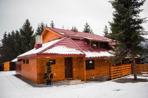 Toplita House | Cabana Stînă - Duplex Montan