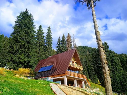 Busteni House | Cabana Vederea Sfinxului Padina