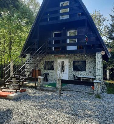 Cartisoara House | Cabanuta Dan & Alex