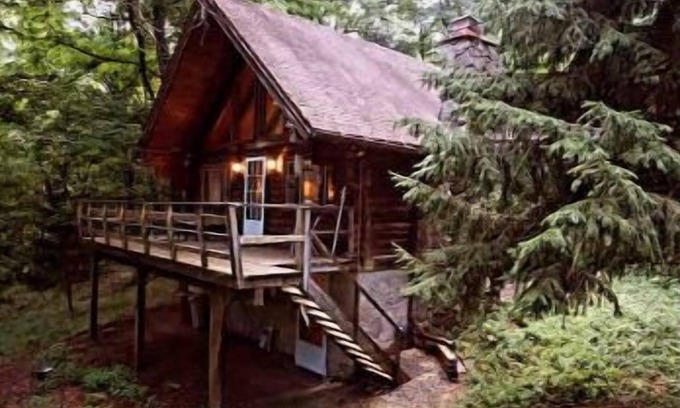 East Branch Cabin | Cabin in the Woods π³πͺ΅
