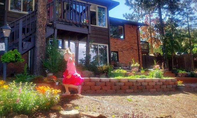 Northeast Colorado Springs House | Cabin's entire, private lower level w/mountain view & cozy, comfortable living.
