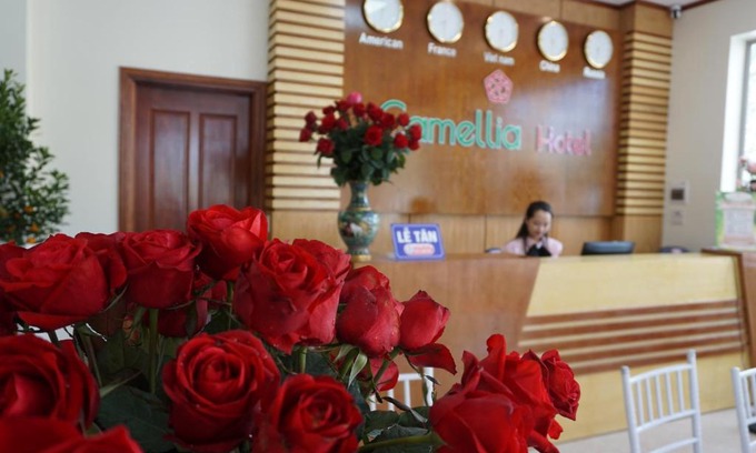 Thanh Hoa Hotel | Camellia Hotel