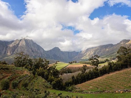 Cape Winelands House | Camissa Farm
