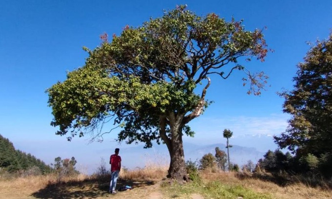 Kanatal Other | Camp Awara Kanatal