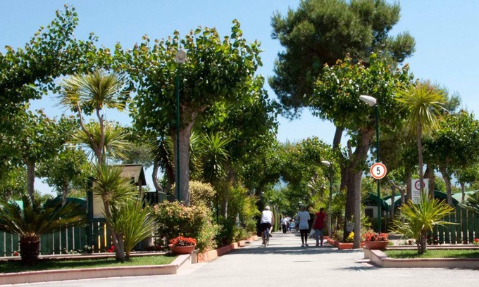 Paestum Hotel | Camping Poseidonia