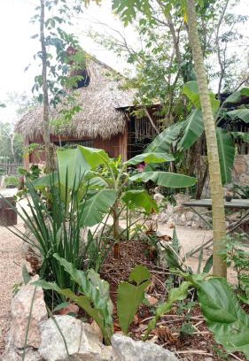 Tulum Other | Camping Rancho El Tauro
