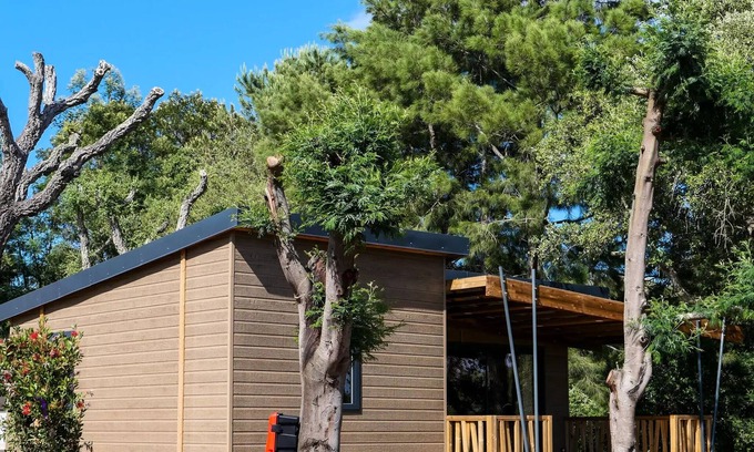 Pinarellu Ski Chalet | Camping U Pinarellu * - EXCLUSIVE RANGE - I Bucòlichi (Saturday/Saturday) - 5 people