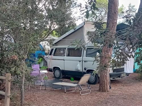 Marina di Grosseto Other | Camping Village IL SOLE - Empty Pitch Only - Solo Piazzole per la propria tenda o caravan