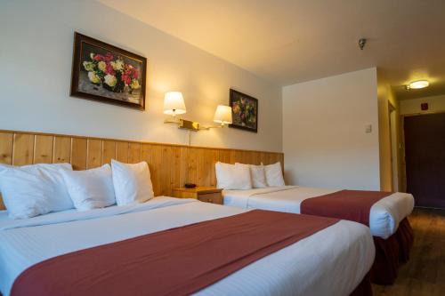 Whitehorse Hotel | Canadas Best Value Inn- Riverview Hotel