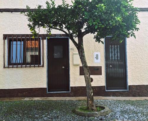 Avis Apartment | Cantinho da Casa
