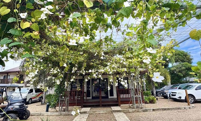 Placencia Apartment | Captain Jaks