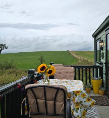 Fence Other | Caravan E6, The Miron