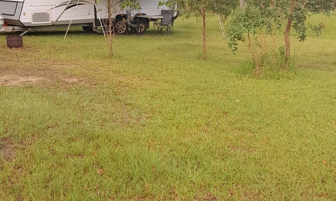 Cedar Party House | Caravan for 2 on 10 acre country property. Peace & nature abounds. Pet friendly