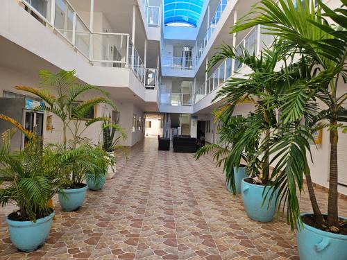 Punta Hansa Apartment | Caribbean Island Hotel Piso 2
