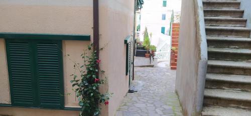 Rio nell'Elba Apartment | Casa Alice