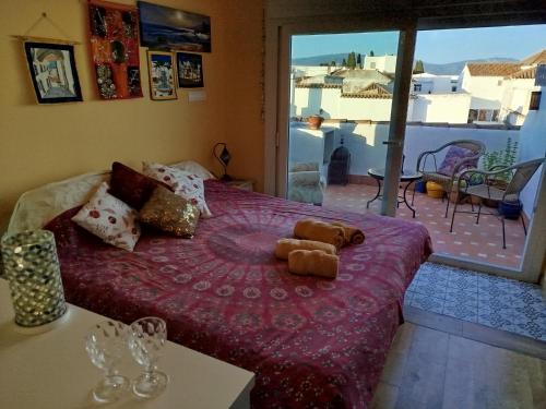 Alcala de los Gazules Bed & Breakfast | Casa Aljibe