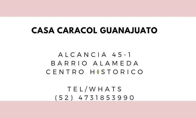Zona Centro Apartment | Casa Caracol Guanajuato