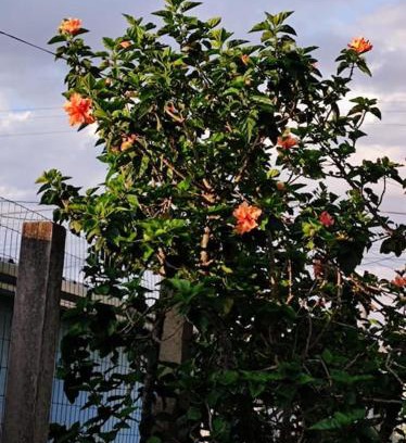 Tramandai Apartment | Casa com Sacada e Churrasqueira em Tramandaí/RS