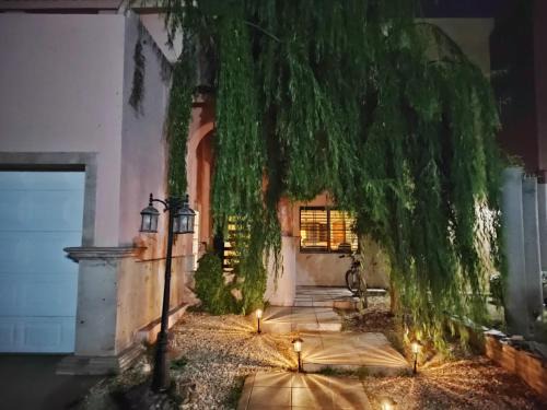 Juarez Municipality Apartment | casa consulado