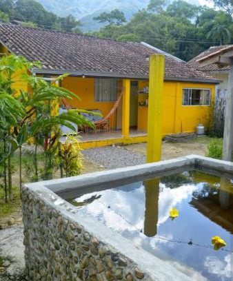 Morretes House | Casa da Flor