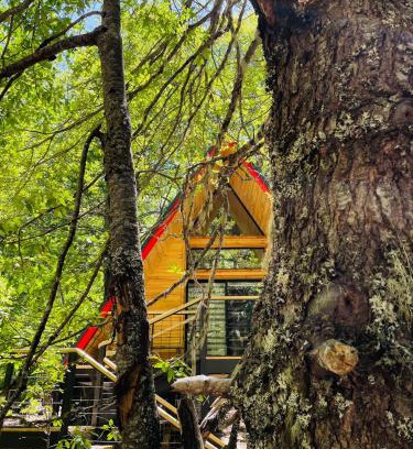 Curacautin Ski Chalet | Casa del Árbol - Malalcahuello