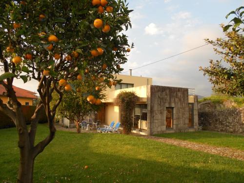 Ancora House | Casa do Murungal