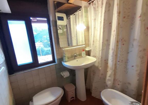 Solanas House | Casa Frida