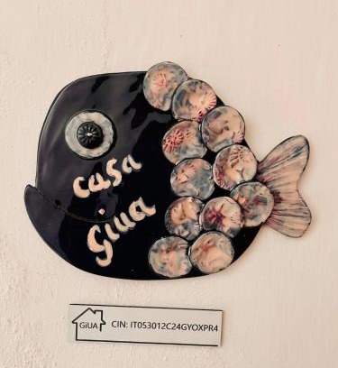 Giglio Campese Apartment | Casa Giua