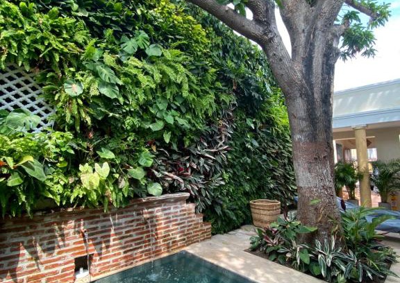 Cartagena Walled City Hotel | Casa Jaguar Hotel Boutique