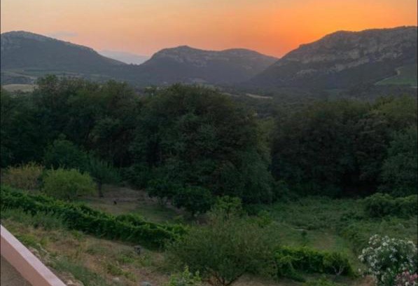 Patrimonio Bed & Breakfast | Casa Julie