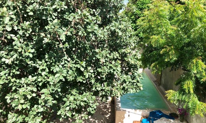 Centro Bed & Breakfast | Casa "La 44"