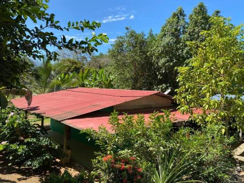 Langostino House | Casa Limon