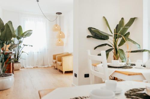 Arcola House | Casa Lisa