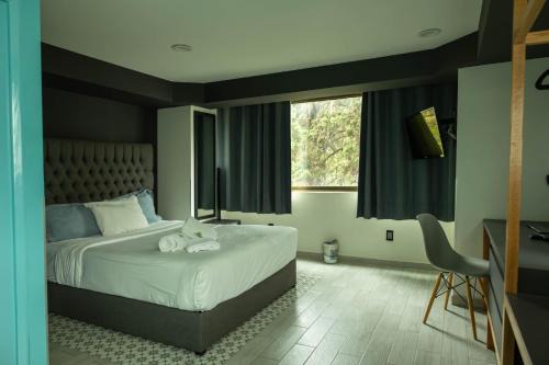 Roma Norte Apartment | Casa Romita