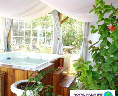 Punta Sur Apartment | Casa Royal Palm Inn