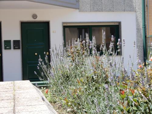 Campobasso House | casa vacanze lucianoandson