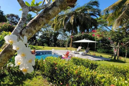 Langostino House | Casa Zenn Villa Homestay