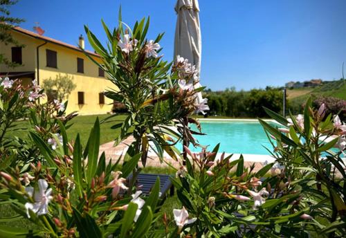 Ostra Bed & Breakfast | Casale Solindio
