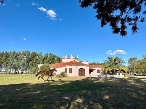 Partido de Bahia Blanca Villa | Casaquinta Haras El Tropicano