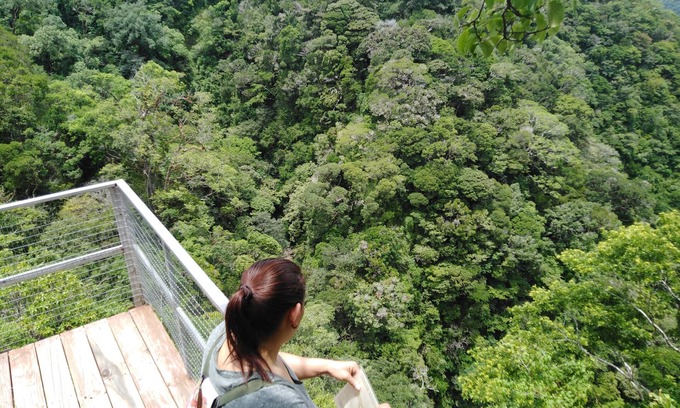 Monteverde Bed & Breakfast | Cassidini House