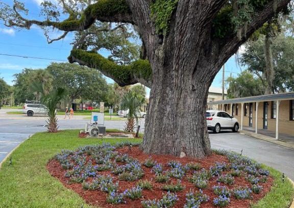 St. Augustine Hotel | Castillo Inn